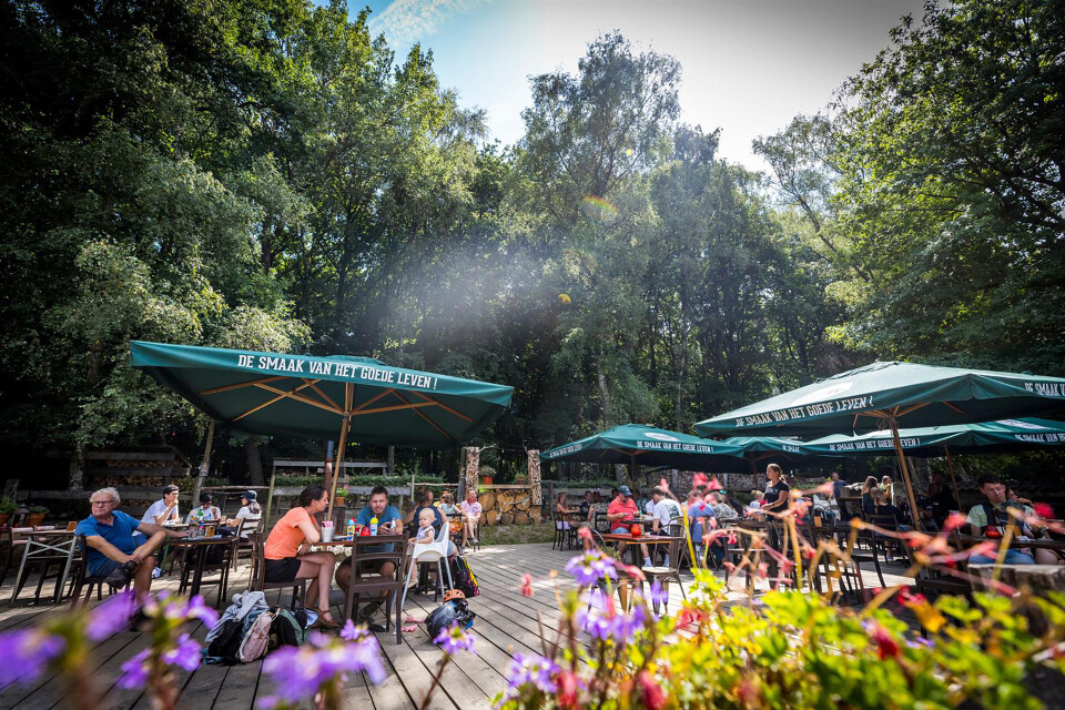 Hert 01